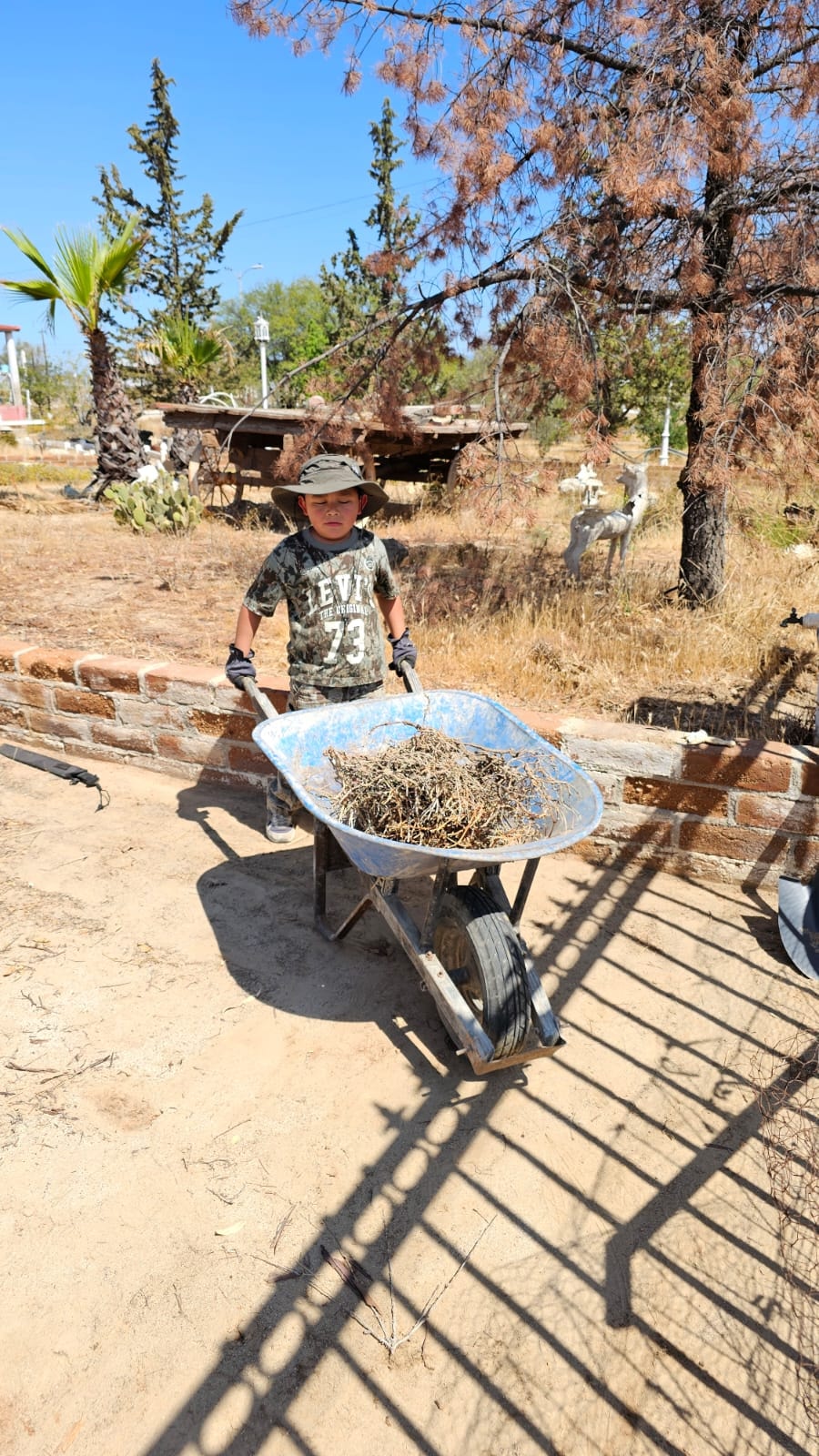 Yosef empujando la carretilla en la granja
