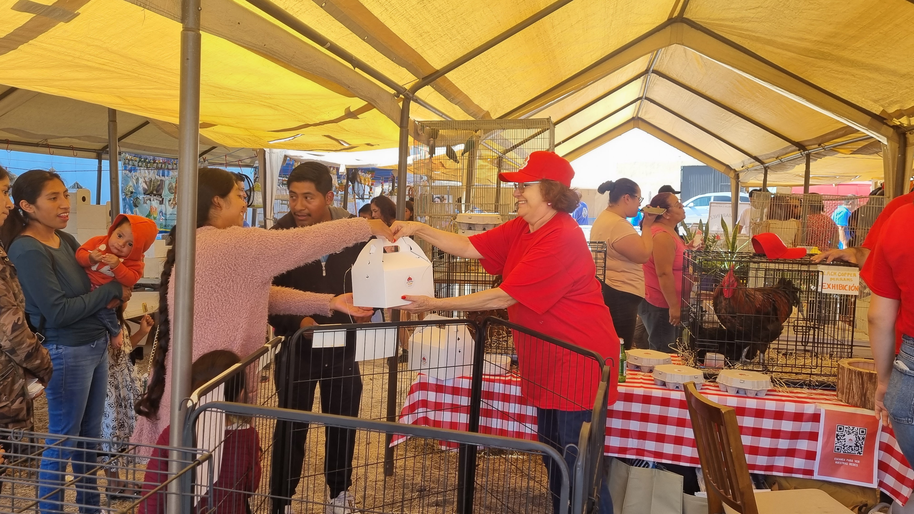 Cotidianidad en El Hongo, octubre 2022