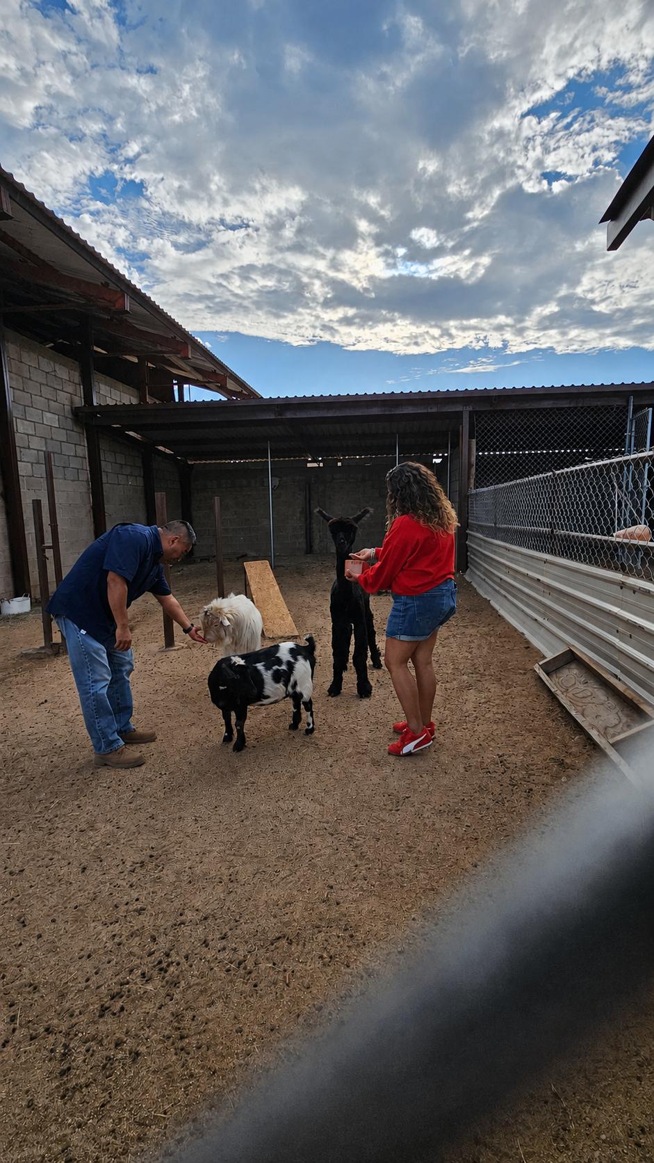 Familias visitando Granja de Yosef