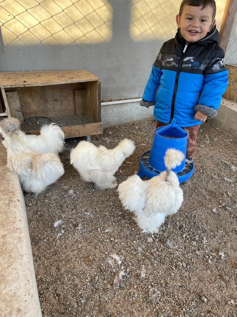 La familia de Granja de Yosef trabajando juntos